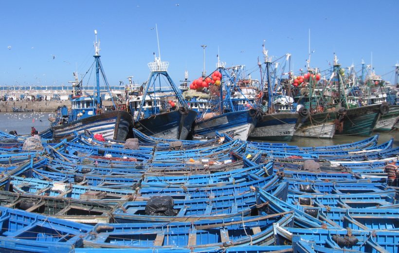 To Essaouira from Marrakech