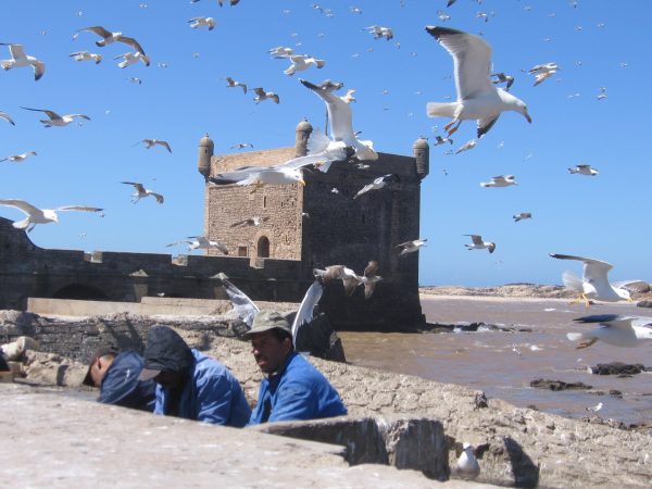 Essaouira-2